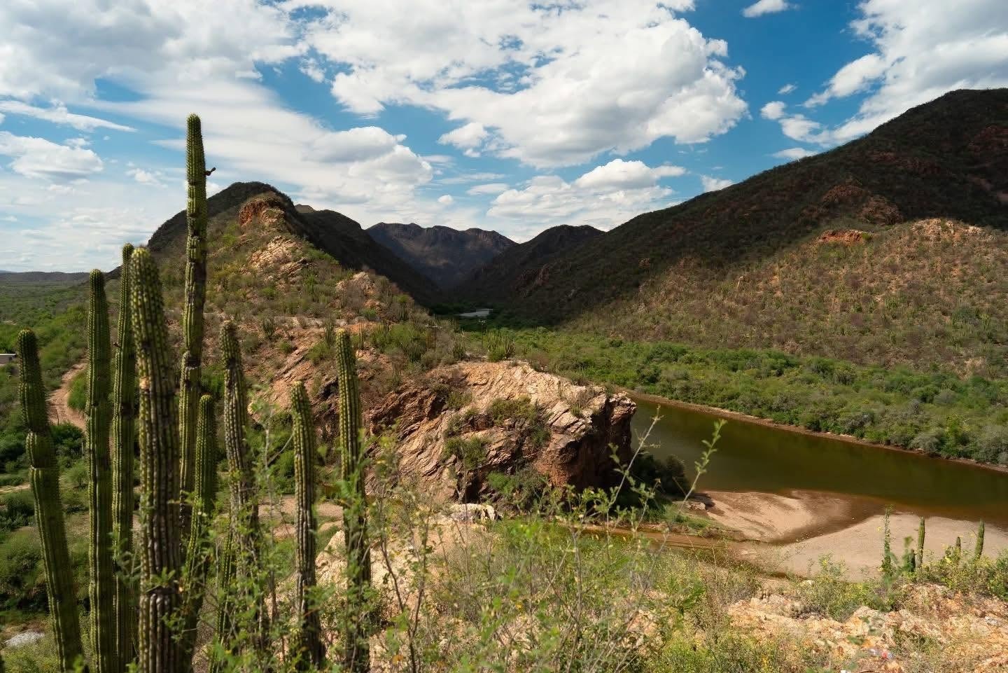 Panorámica de la Sierra Madre Occidental con nubes flotando entre las montañas